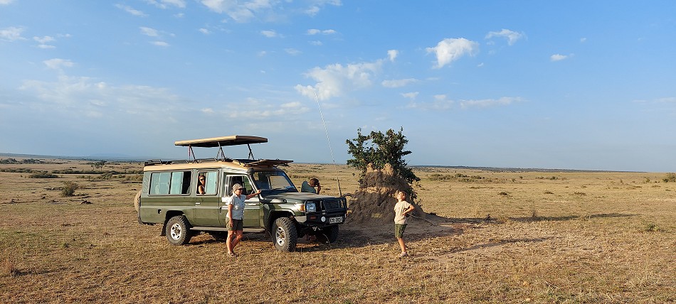 Termitenhügel in der Masai Mara