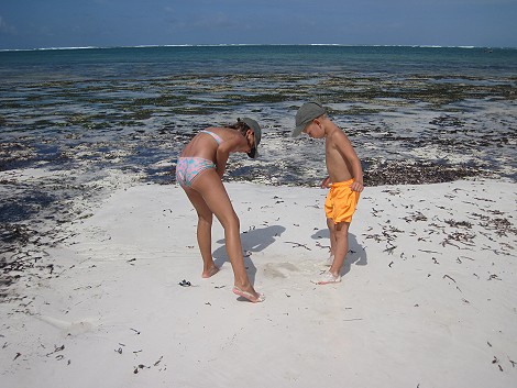 Eleven Pearls - Boudique Hotel; Diani Beach