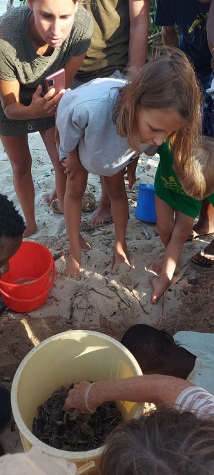 Mtwapa Sea Turtle Patrol Projekt