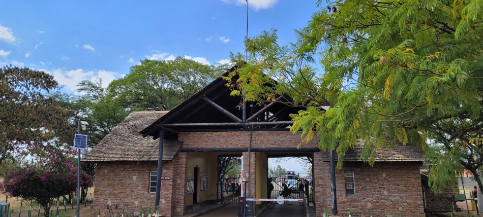 Sekenani Gate, Masai Mara