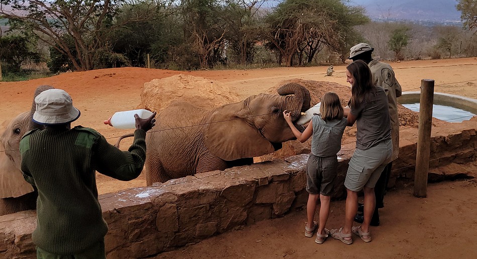 Sheldrick Wildlife Trust - Voi Auswilderungsstation Tsavo Ost National Park
