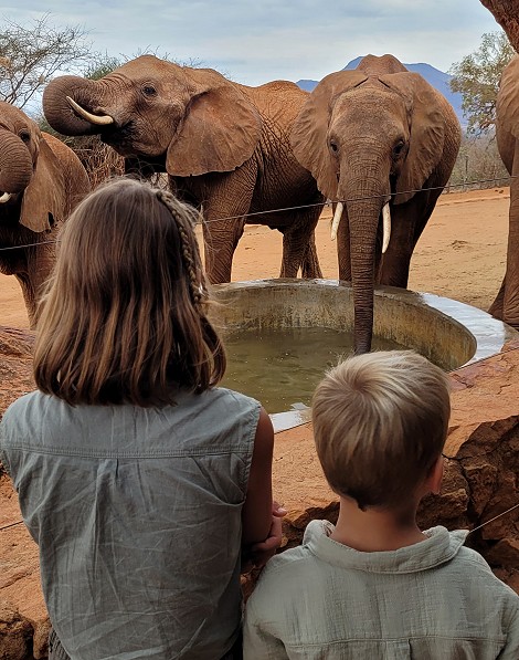 Sheldrick Wildlife Trust - Voi Auswilderungsstation Tsavo Ost National Park