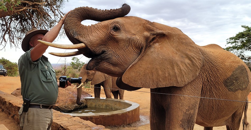 Sheldrick Wildlife Trust - Voi Auswilderungsstation Tsavo Ost National Park
