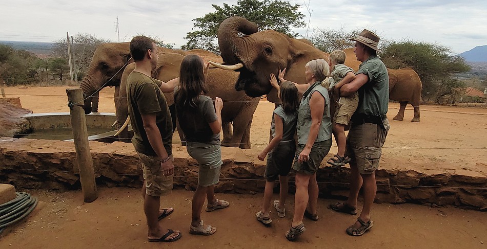 Sheldrick Wildlife Trust - Voi Auswilderungsstation Tsavo Ost National Park