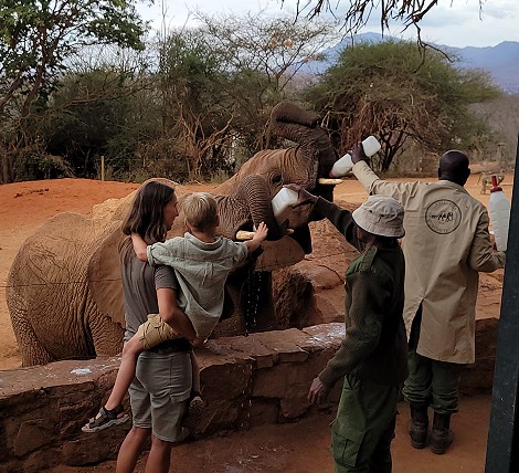 Sheldrick Wildlife Trust - Voi Auswilderungsstation Tsavo Ost National Park