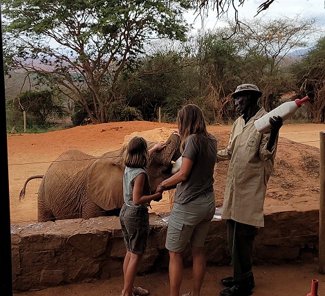 Sheldrick Wildlife Trust - Voi Auswilderungsstation Tsavo Ost National Park