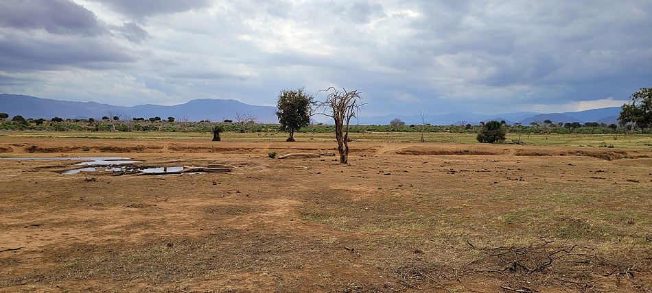 Sentrim Tsavo Camp, ex Tarhi Camp - Tsavo Ost National Park