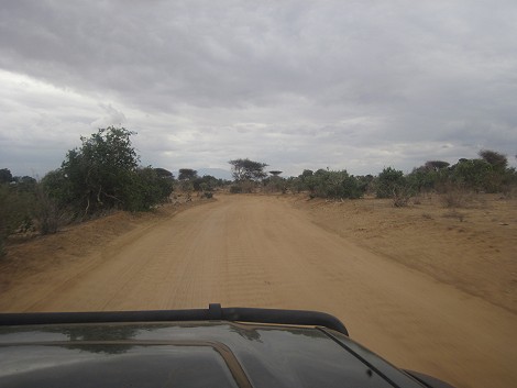 Pirschfahrt im Tsavo Ost National Park