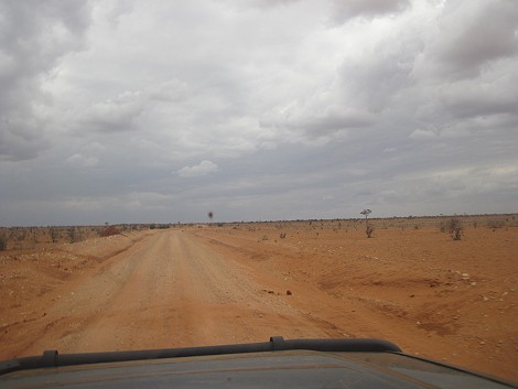 Pirschfahrt im Tsavo Ost National Park