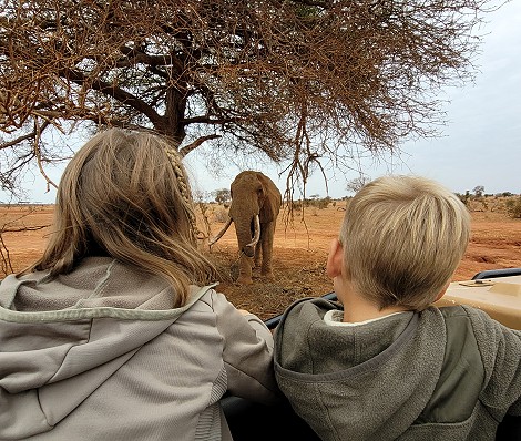 Familiensafari im Tsavo Ost National Park
