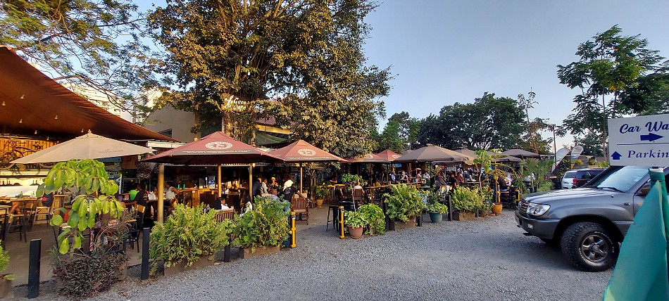 Gecko - Tribe, Afterwork Bar - Nairobi
