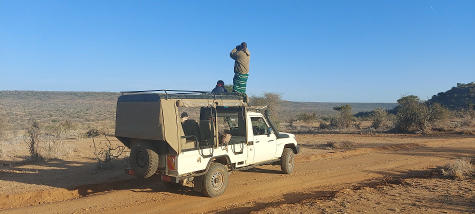 Laikipia -Auf der Suche nach schwarzen Leoparden