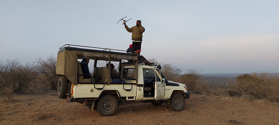 Wild dog Tracking from Laikipia Wilderness River Camp