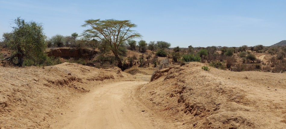 Laikipia Pirschfahrt