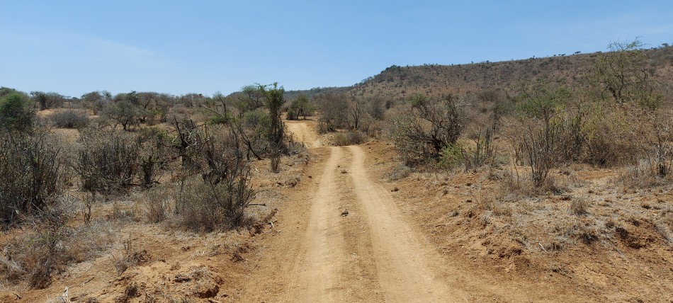 Pirschfahrt, Laikipia