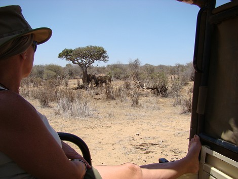 Lakipia Wilderness Game Drive with Stephen Leshorono