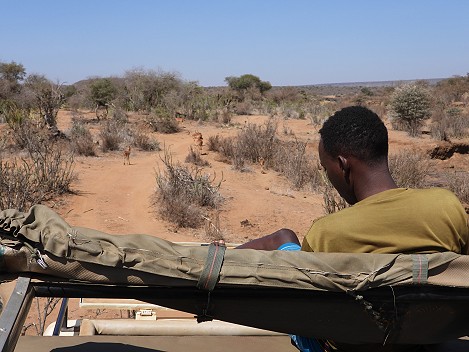 Laikipia Pirschfahrt