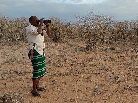 Pirschfahrt im Laikipia Wilderness Gebiet