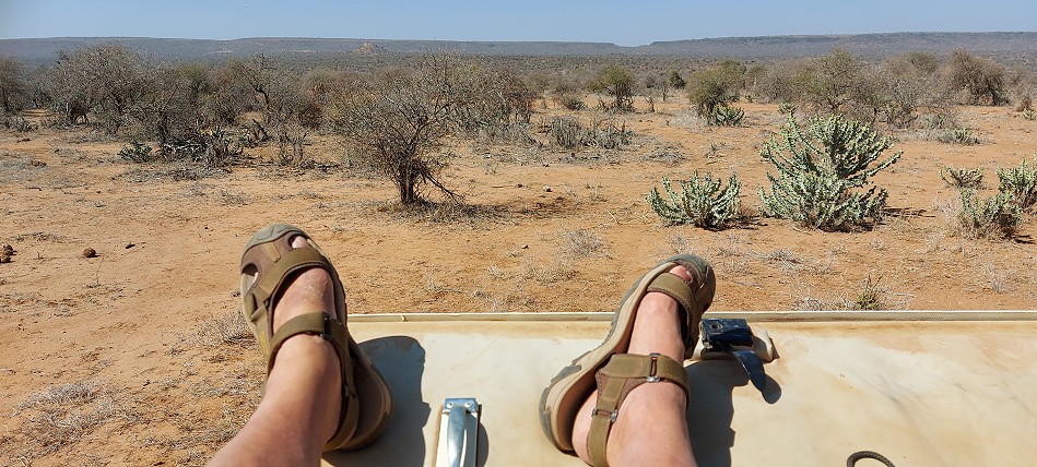 Tracking Wild Dogs at Laikipia