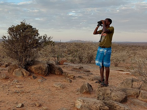 Pirschfahrt im Laikipia Wilderness Gebiet