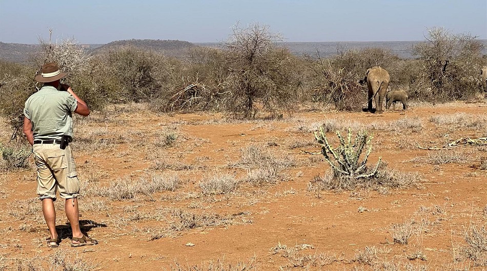 Pause in der Wildnis von laikipia