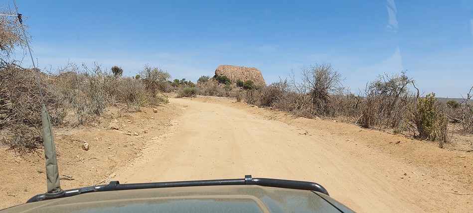 Laikipia, back to Nairobi 