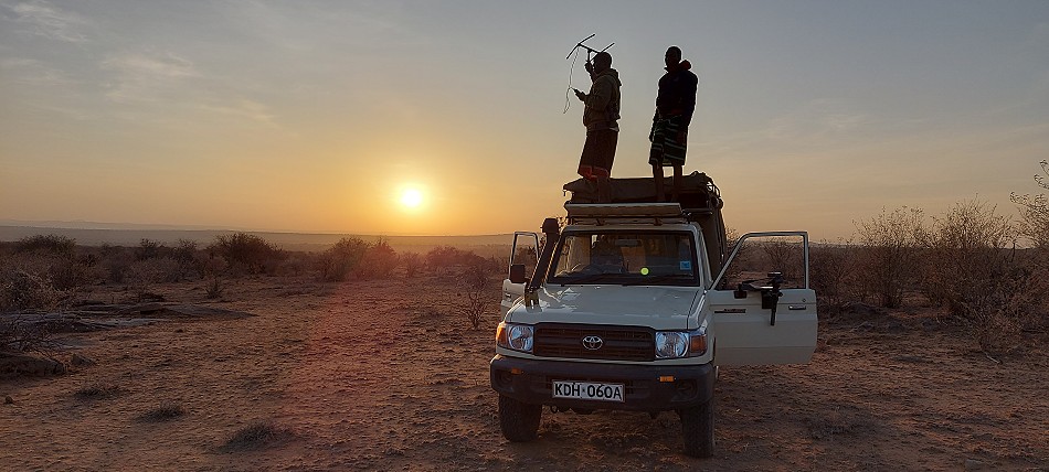 Auf der Suche nach Wildhunden im Laikipia Gebiet