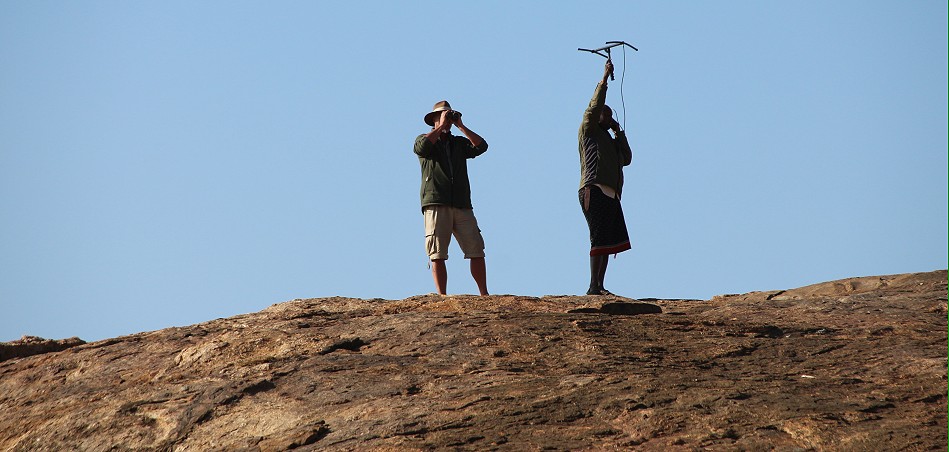 Tracking Wild Dogs at Laikipia