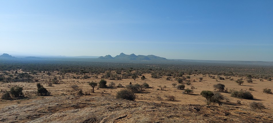 Tracking Wild Dogs at Laikipia