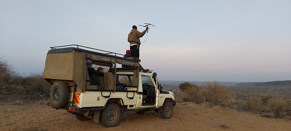 Tracking Wild Dogs at Laikipia