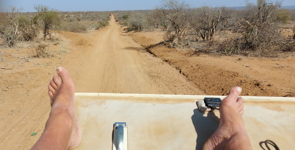 Tracking Wild Dogs at Laikipia