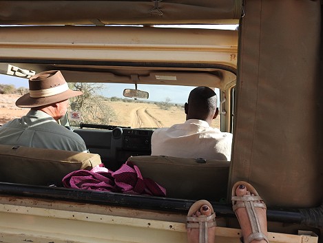 Tracking Wild Dogs at Laikipia