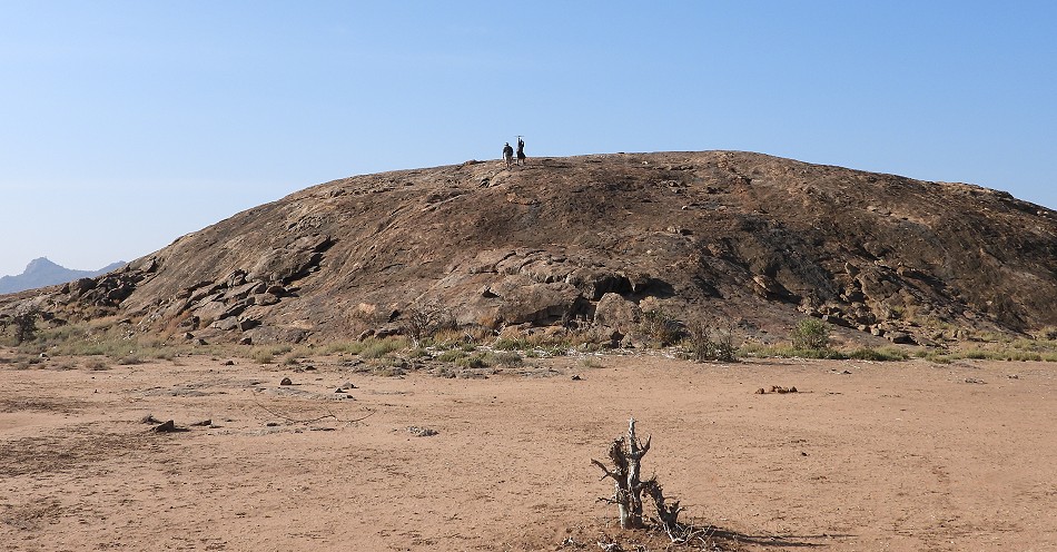 Tracking Wild Dogs at Laikipia