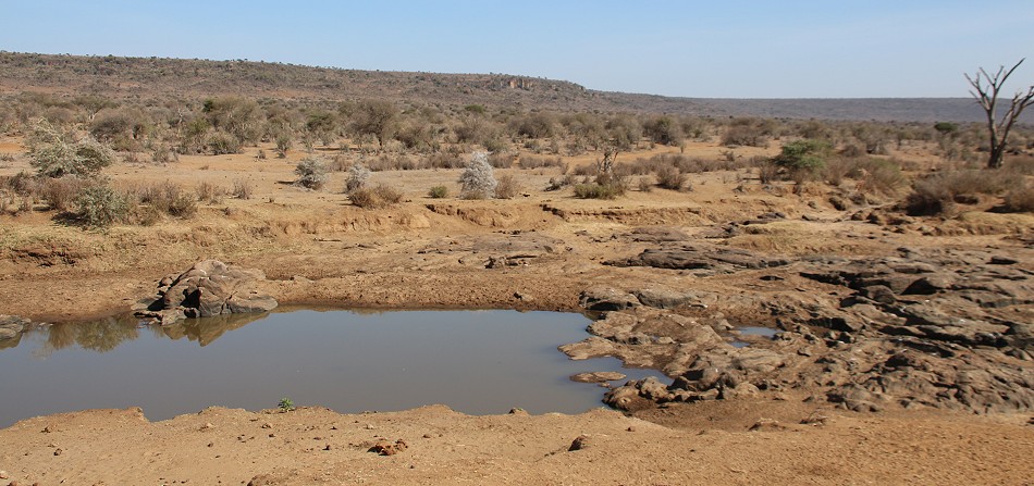 Ewaso Narok River, Laikipia