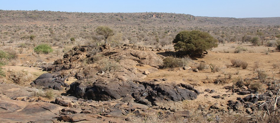 Laikipia Wilderness River Camp