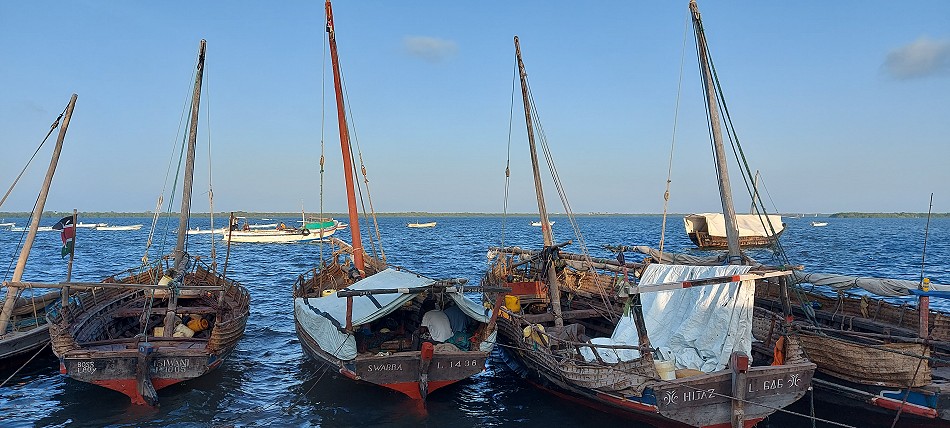 in Lamu Altstadt