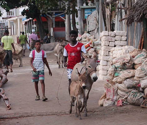 Lamu Altstadt
