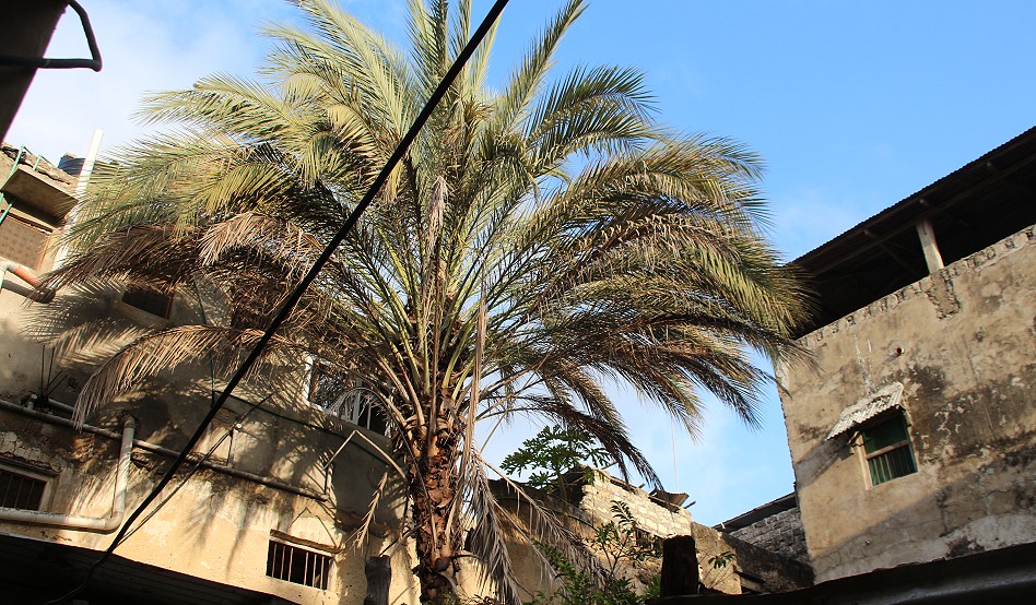 Lamu, Altstadt