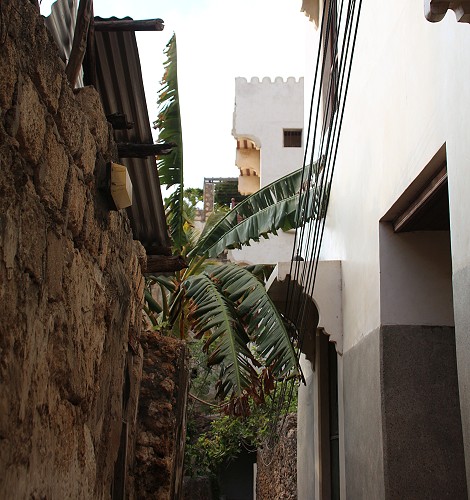 Lamu Altstadt