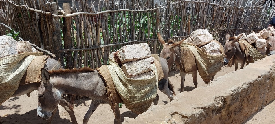 Shela - Lamu Island
