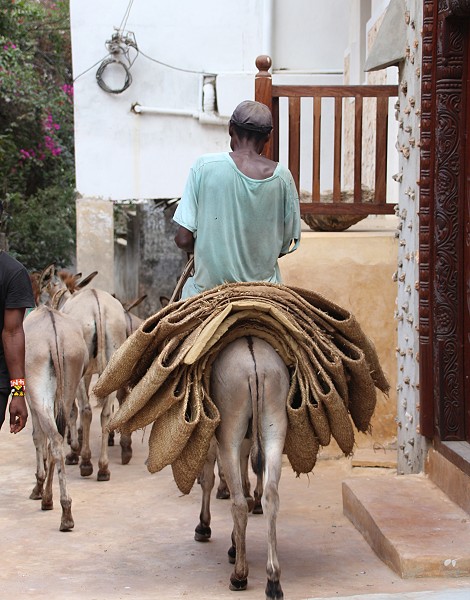 Shela - Lamu Island
