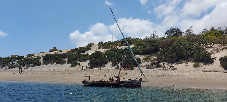 Lamu - mit dem Wassertaxi unterwegs - Black Panther
