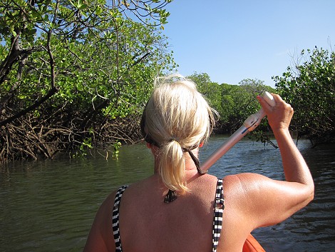 Lamu - Manda Bay Resort - Kayak Mangroven Tour