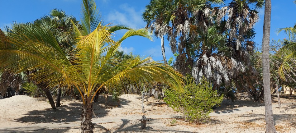 Lamu - Manda Bay Resort - Manda Island