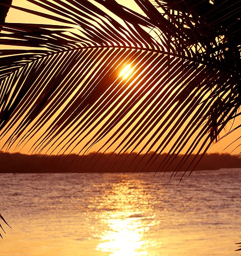 Lamu - Manda Bay Resort - Manda Island