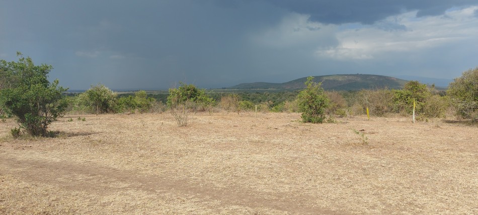 Sandai Farm - Laikipia - Kenya Hochland