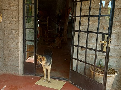 Sandai Farm - Laikipia - Kenya Hochland