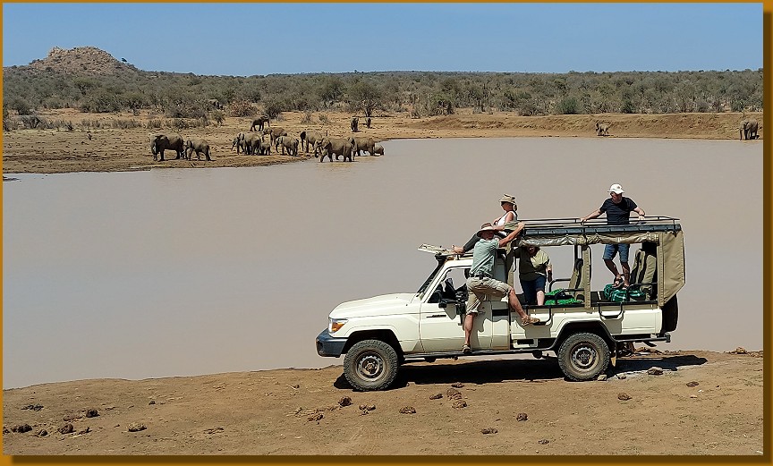 Lakipia Wilderness Game Drive with Stephen Leshorono