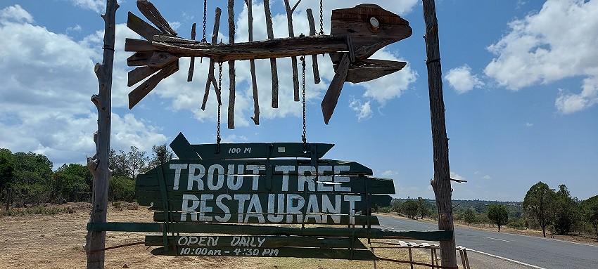 Trout Tree - Fischrestaurant