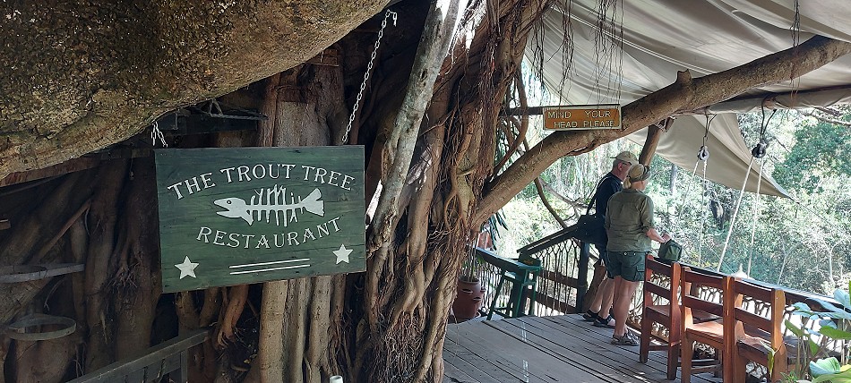 Trout Tree - Fischrestaurant